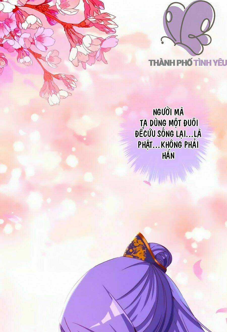 Vương Phi, Vương Gia Nhà Ngươi Không Ngốc Nữa Rồi Chapter 9 trang 19