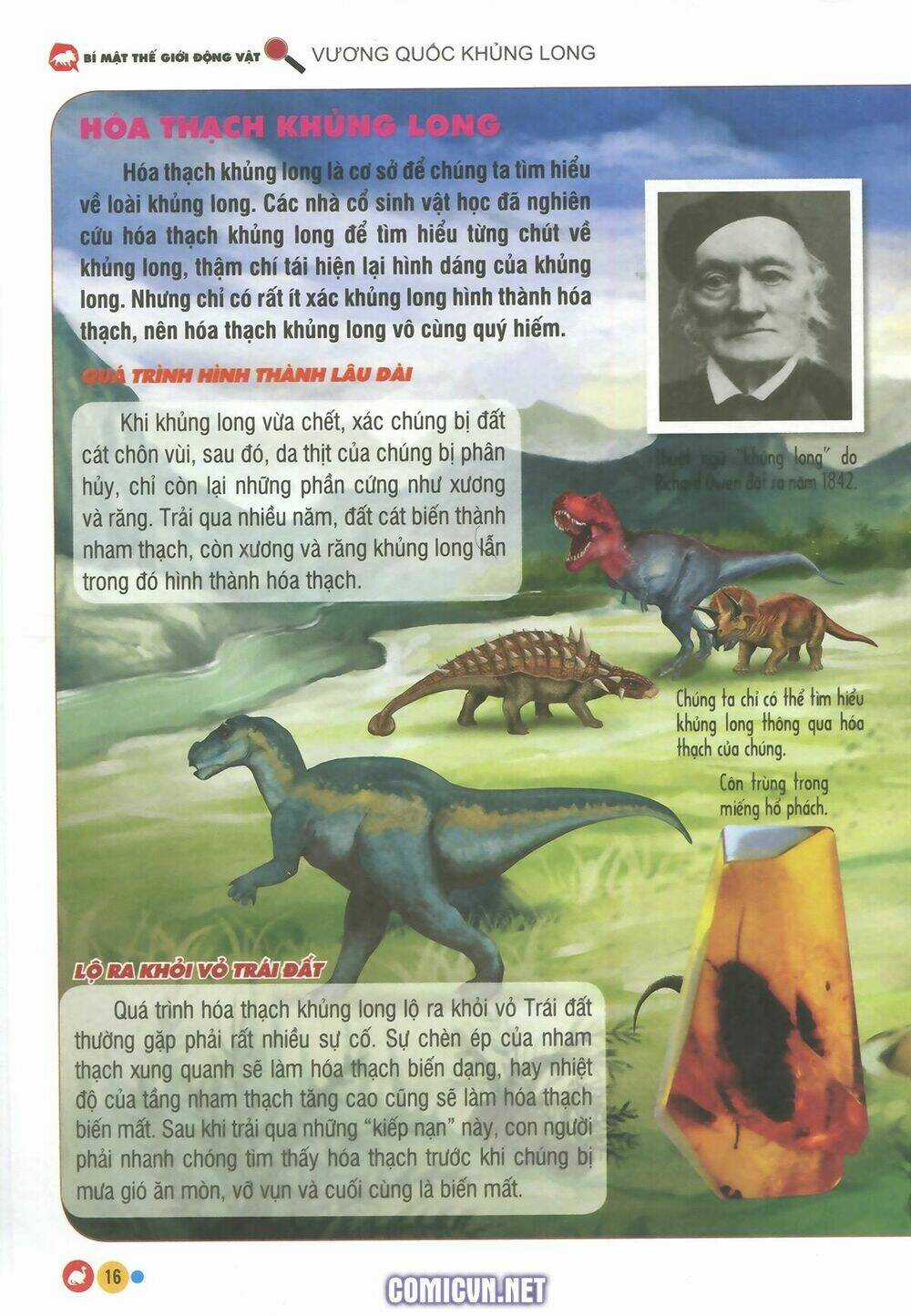 Vương Quốc Khủng Long Chapter 1 trang 11