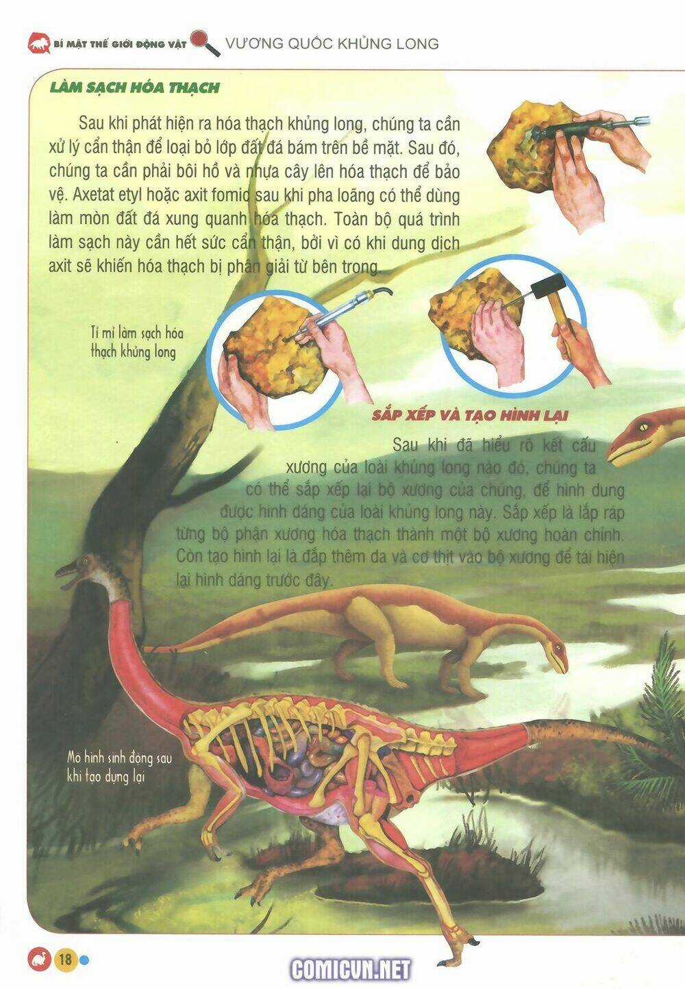 Vương Quốc Khủng Long Chapter 1 trang 13