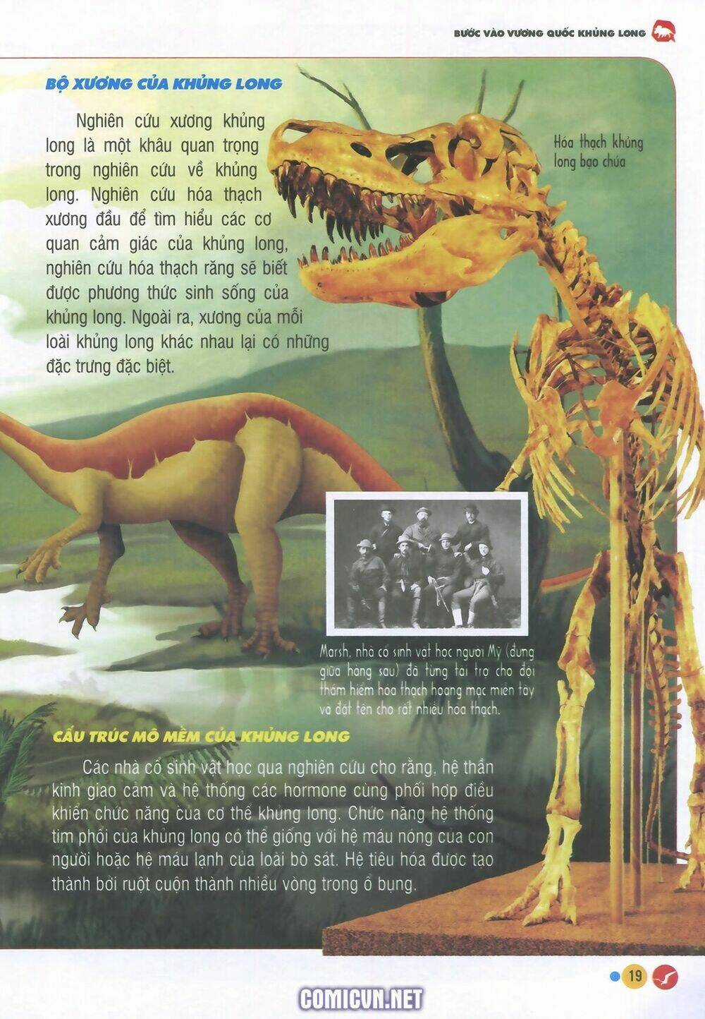 Vương Quốc Khủng Long Chapter 1 trang 14