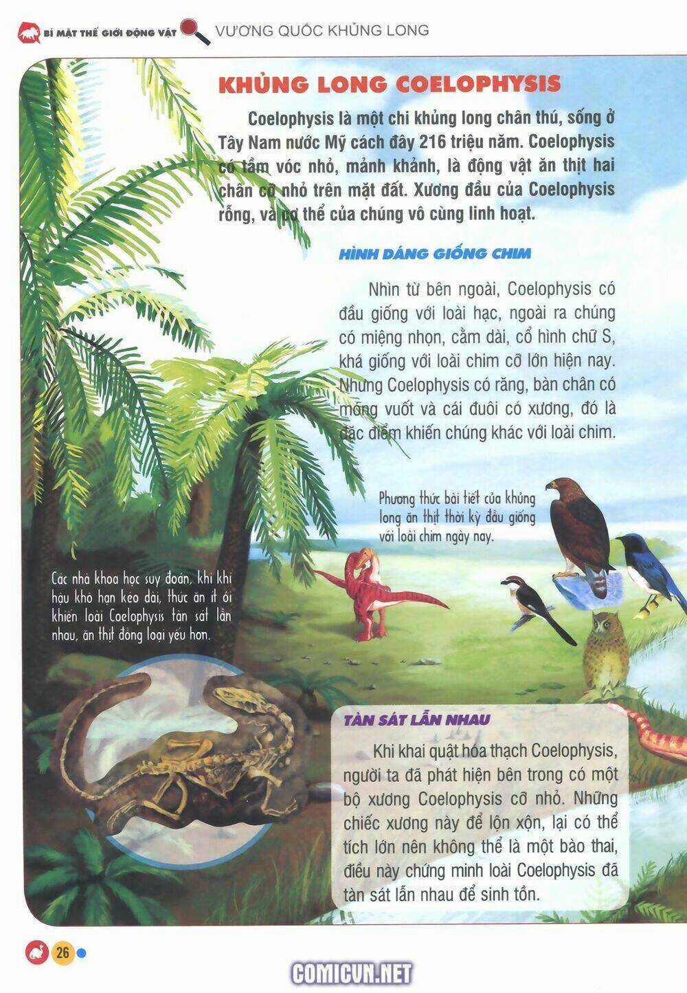 Vương Quốc Khủng Long Chapter 2 trang 5