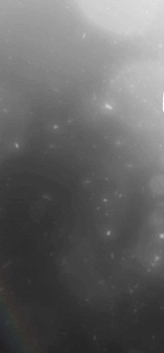 Vương Tử Huyền Bí Chapter 112 trang 58