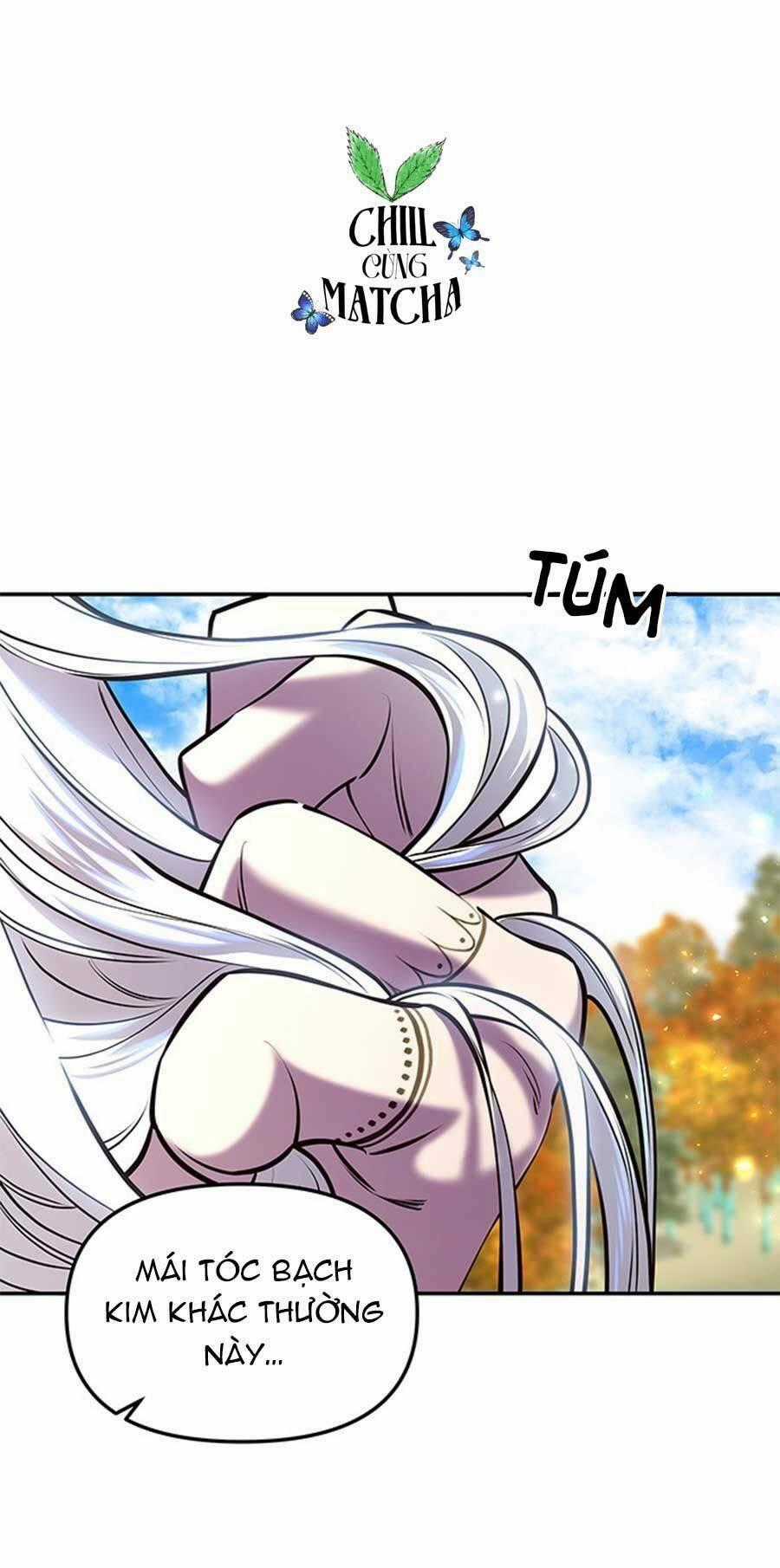 Vương Tử Huyền Bí Chapter 17 trang 0