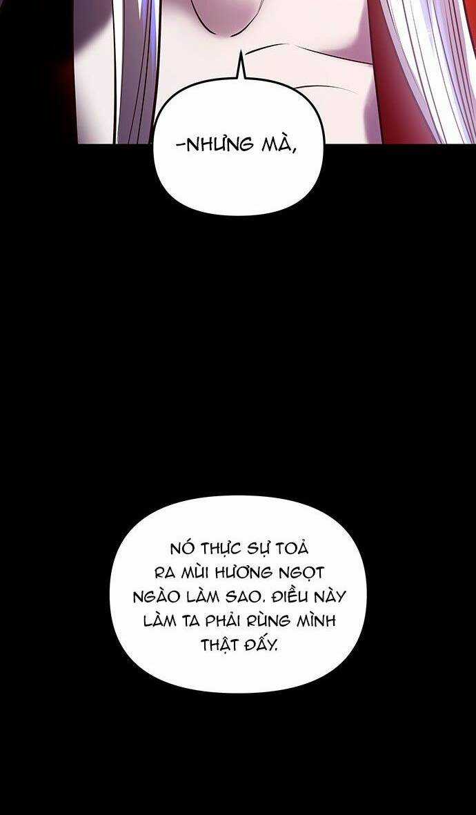 Vương Tử Huyền Bí Chapter 27 trang 12