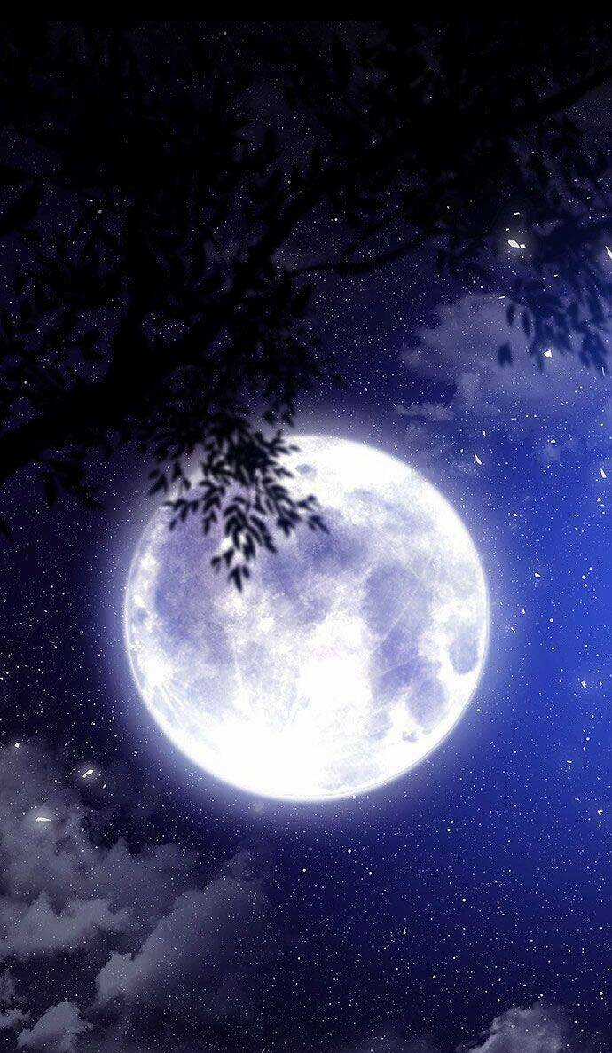 Vương Tử Huyền Bí Chapter 39 trang 169