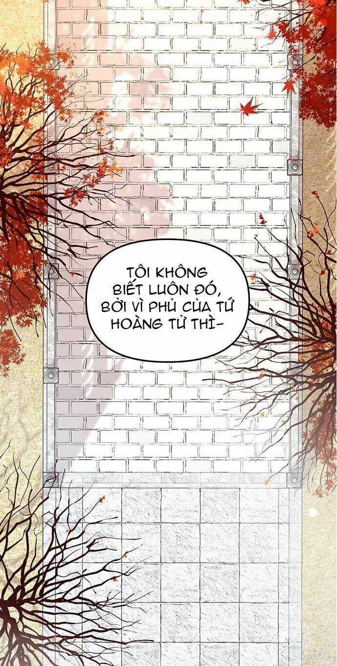 Vương Tử Huyền Bí Chapter 4 trang 2