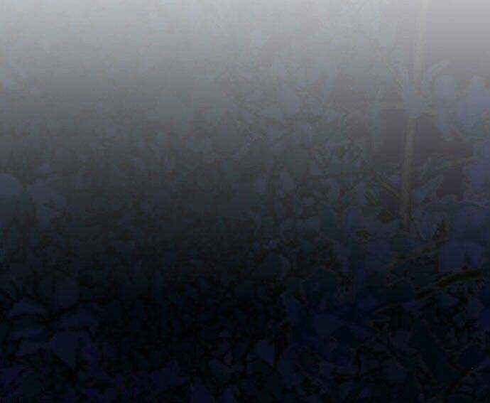 Vương Tử Huyền Bí Chapter 44 trang 153