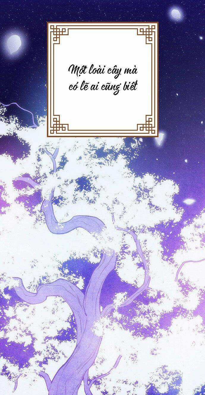 Vương Tử Huyền Bí Chapter 45 trang 133