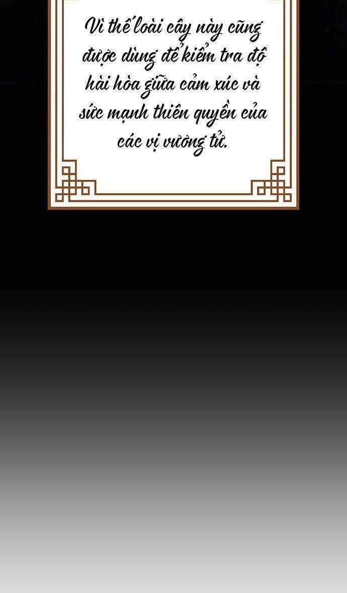 Vương Tử Huyền Bí Chapter 45 trang 138