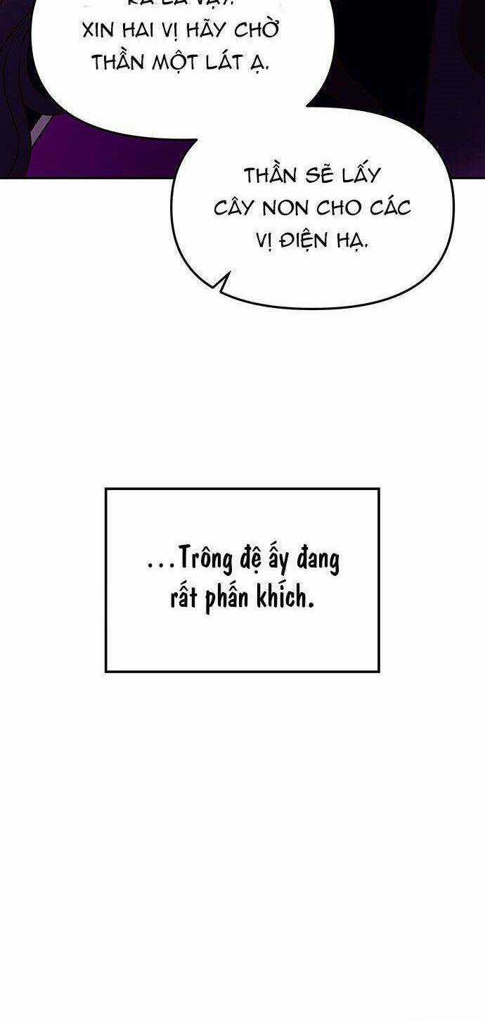 Vương Tử Huyền Bí Chapter 46 trang 49