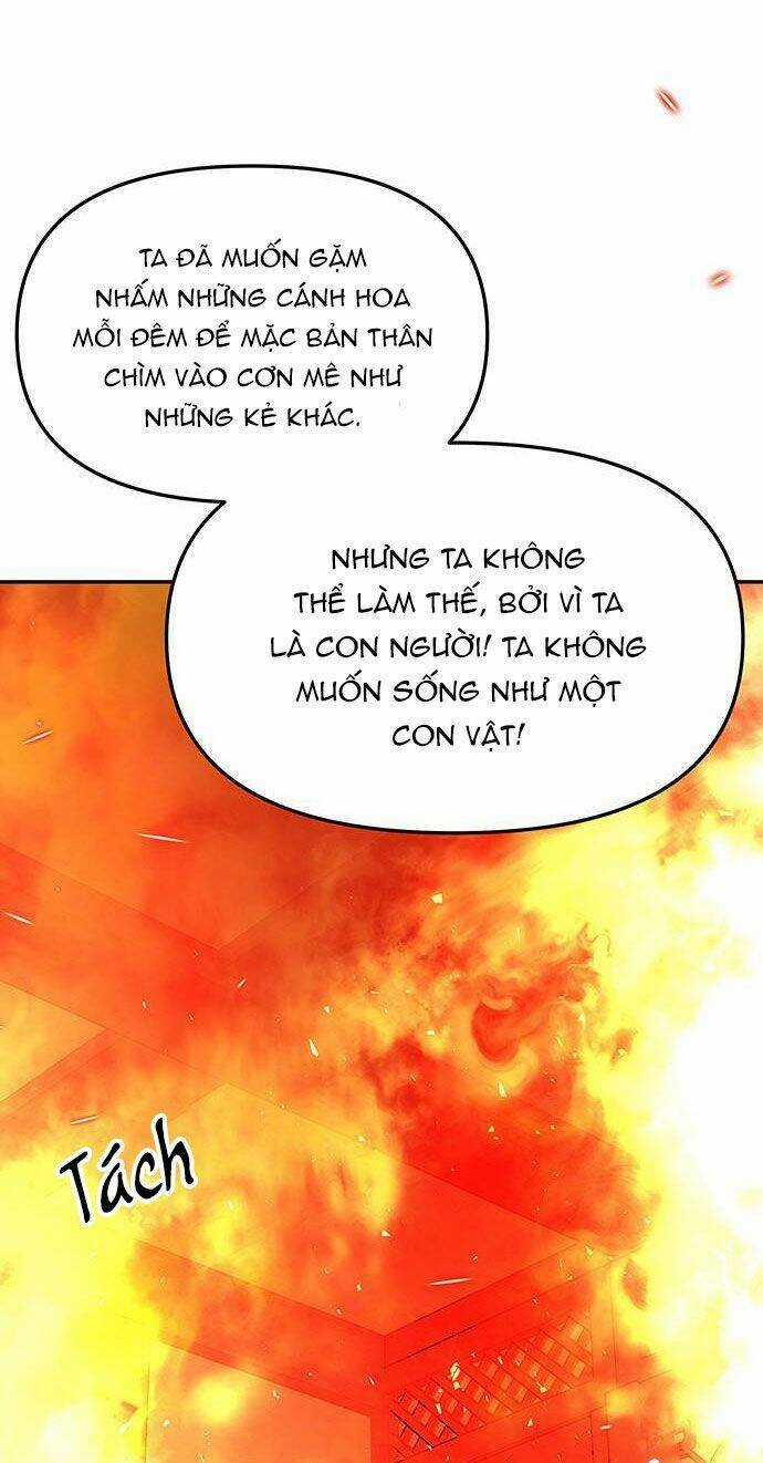 Vương Tử Huyền Bí Chapter 67 trang 95