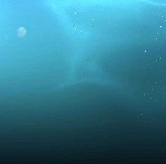 Vương Tử Huyền Bí Chapter 73 trang 99