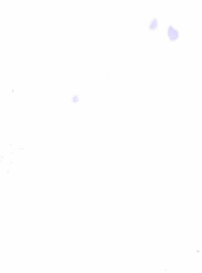 Vương Tử Huyền Bí Chapter 78 trang 28