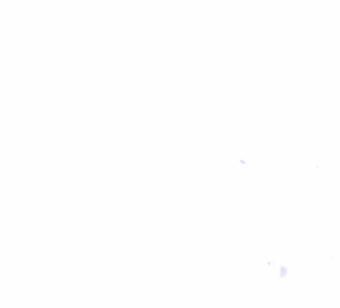 Vương Tử Huyền Bí Chapter 80 trang 117