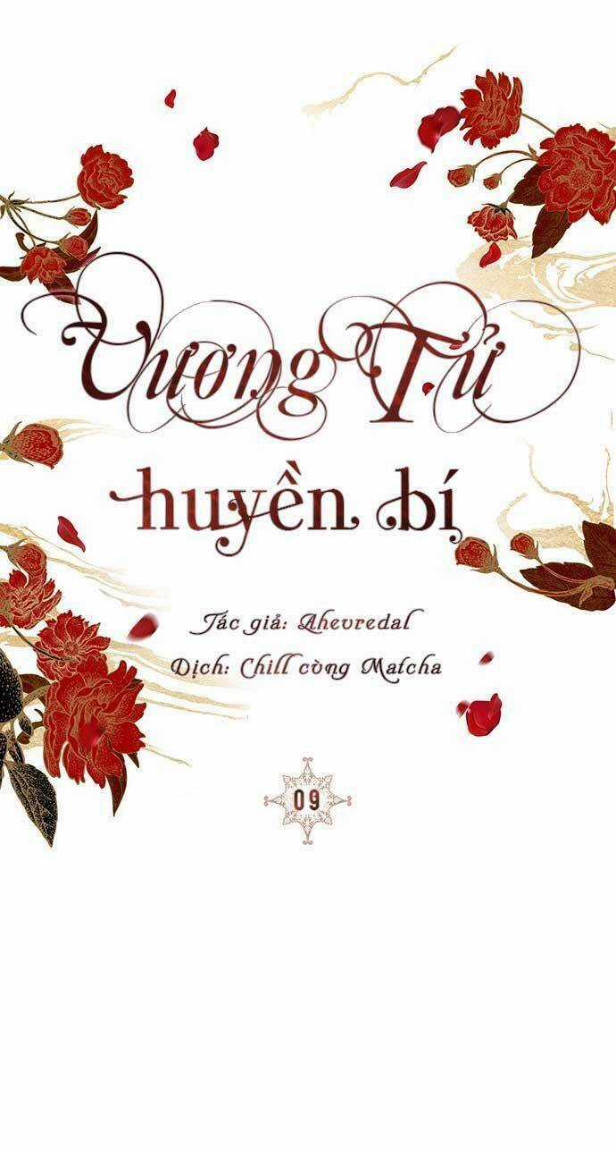 Vương Tử Huyền Bí Chapter 9 trang 47