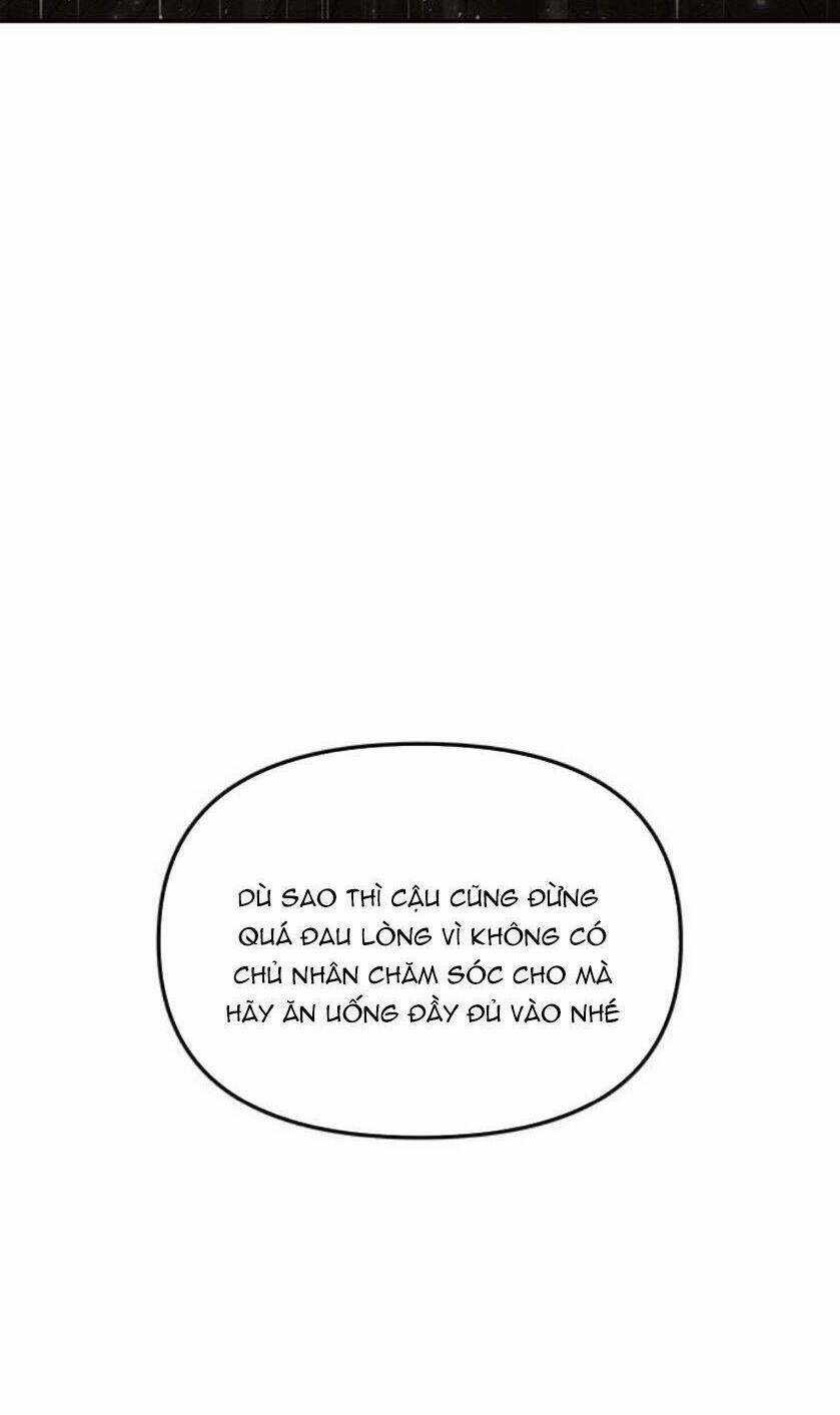 Vương Tử Huyền Bí Chapter 95 trang 99