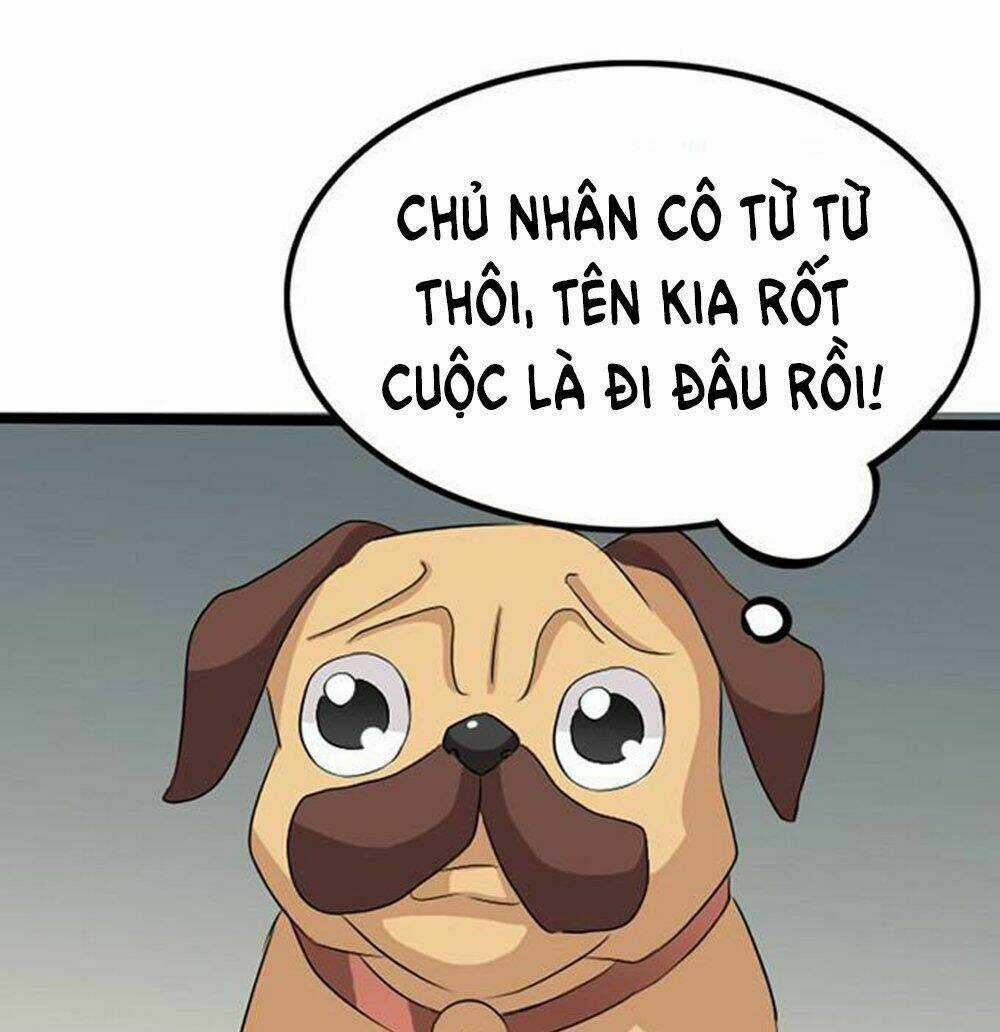 Vương Tử Nhà Tôi Là Nô Bộc Chapter 14 trang 11