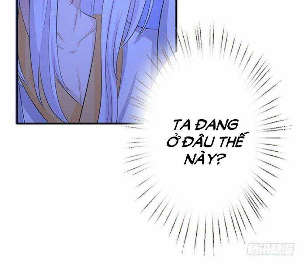Vương Tử Nhà Tôi Là Nô Bộc Chapter 182 trang 11