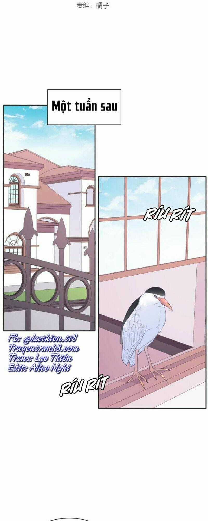 Vương Tử Thành Phố Và Công Chúa Amazon Chapter 68 trang 1