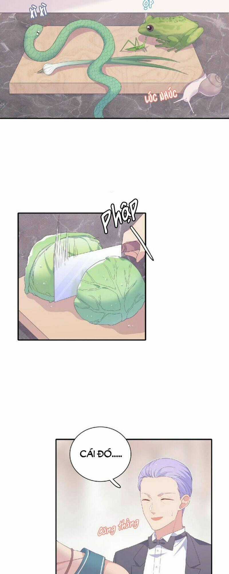 Vương Tử Thành Phố Và Công Chúa Amazon Chapter 72 trang 1