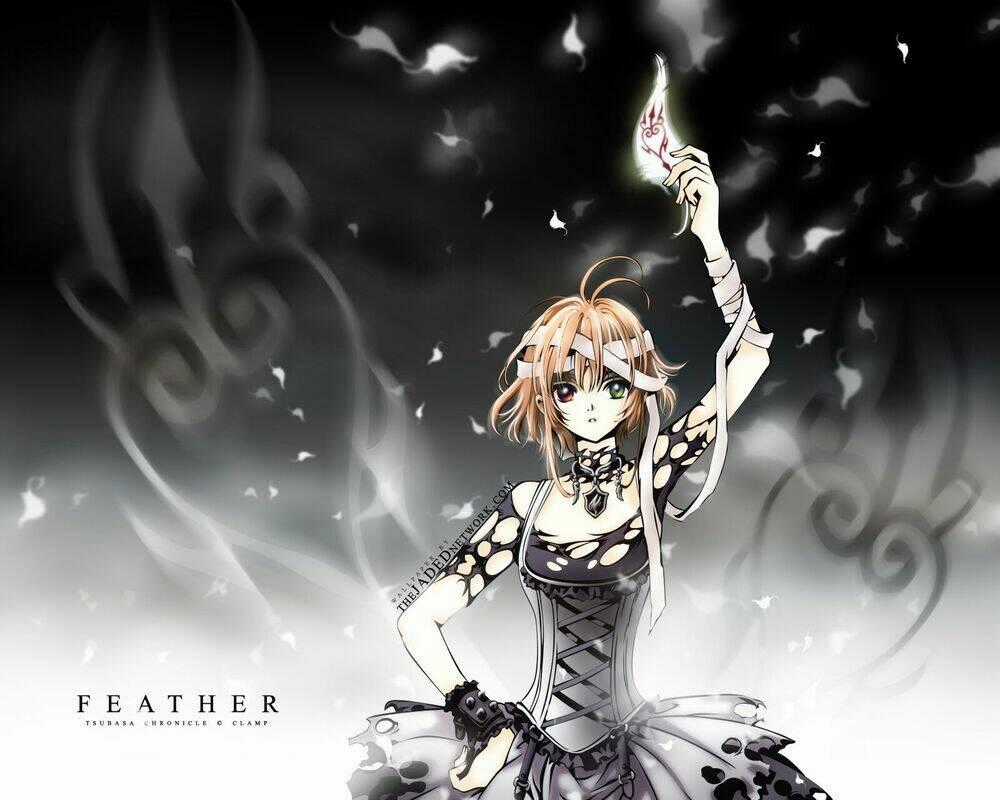 Wallpaper Chapter 8 trang 1