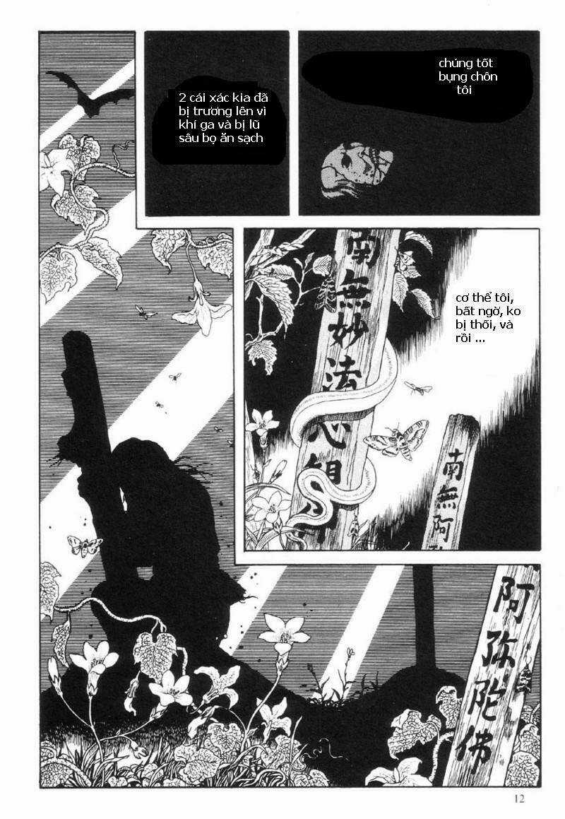 Warau Kyuuketsuki Chapter 1 trang 12