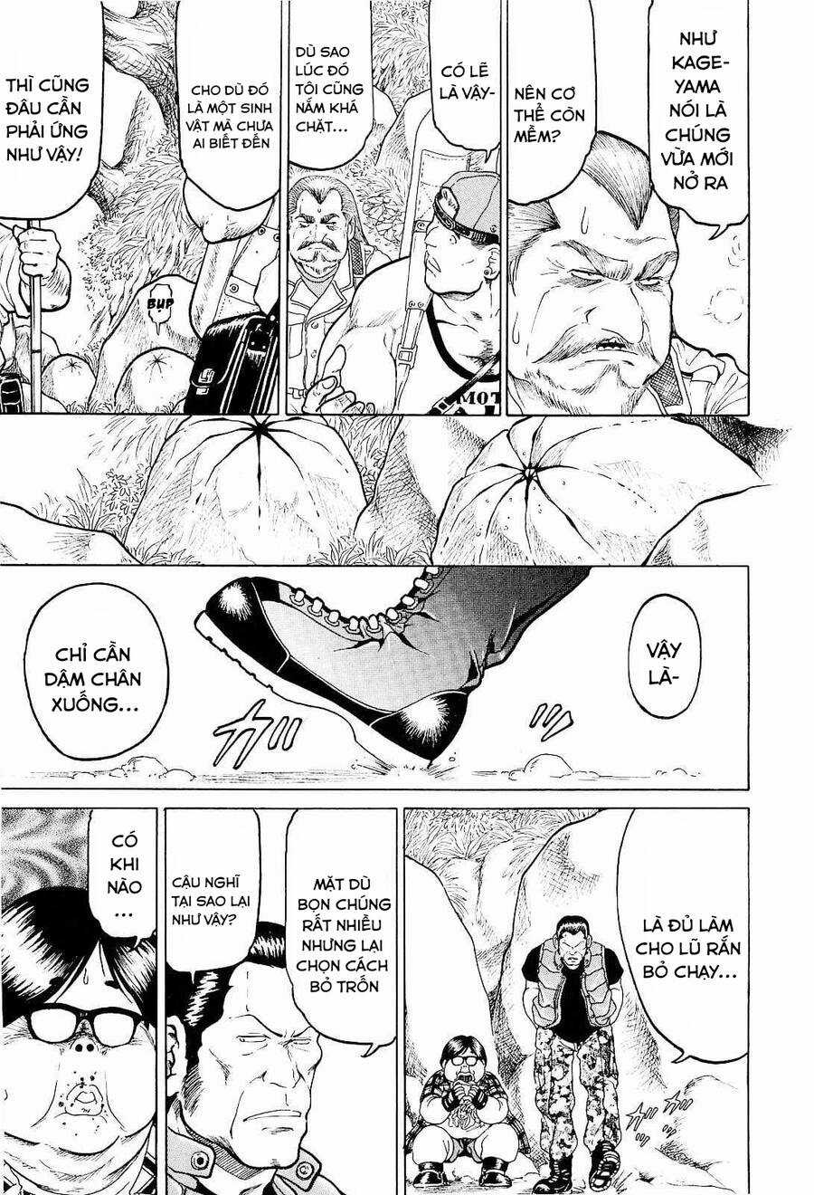 Waruta Hanga ~Truyền Thuyết Rắn Thần Đảo Yatogami~ Chapter 15 trang 5