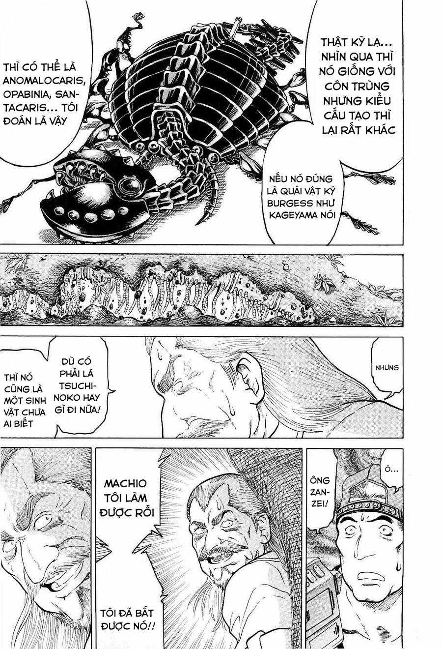 Waruta Hanga ~Truyền Thuyết Rắn Thần Đảo Yatogami~ Chapter 16 trang 8