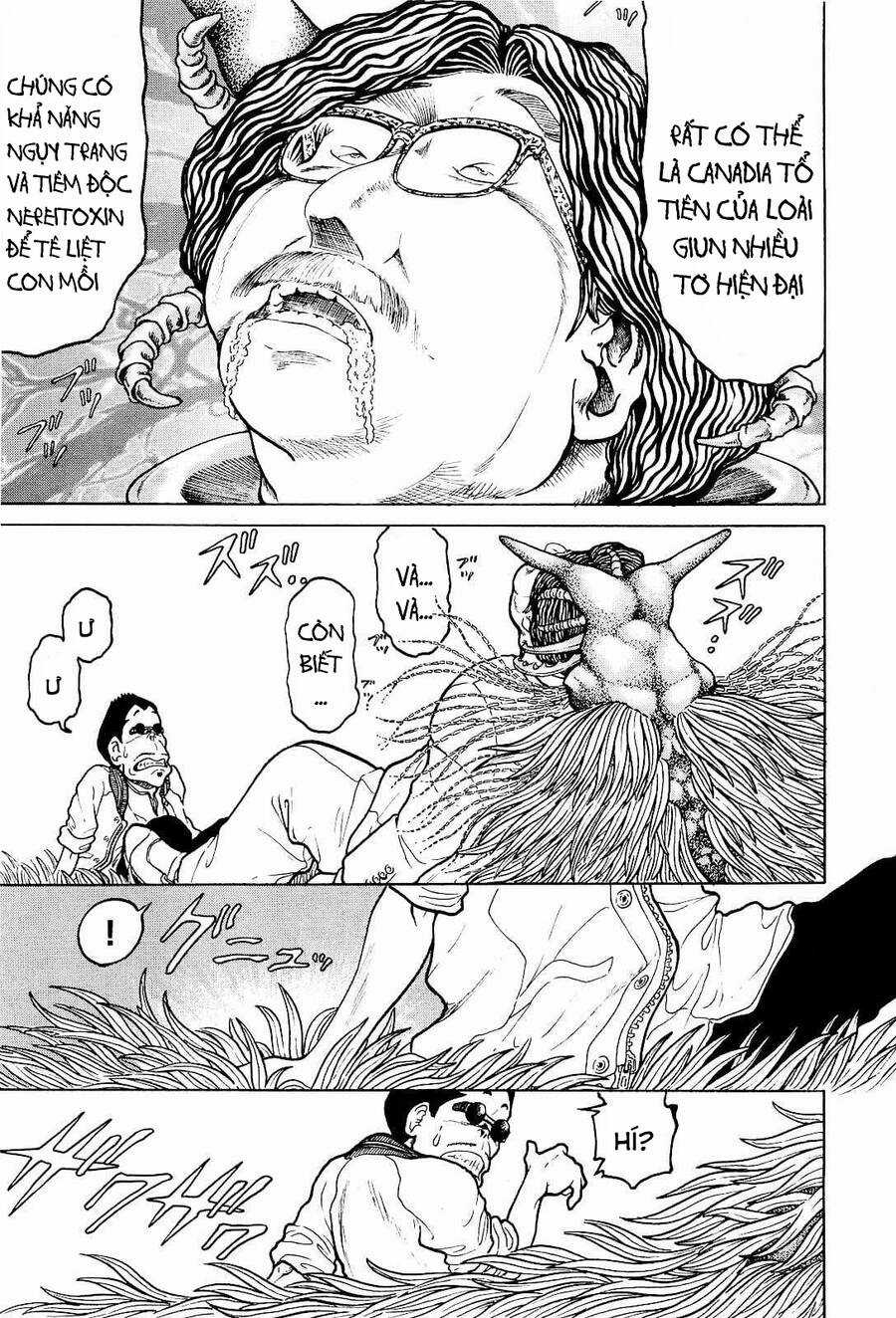 Waruta Hanga ~Truyền Thuyết Rắn Thần Đảo Yatogami~ Chapter 19 trang 12