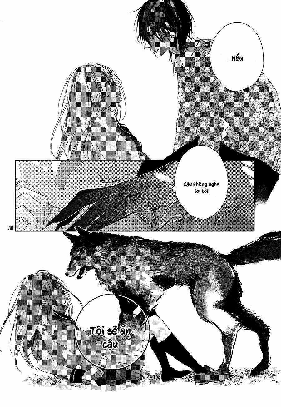 Watashi no Ookami-kun Chapter 1 trang 36