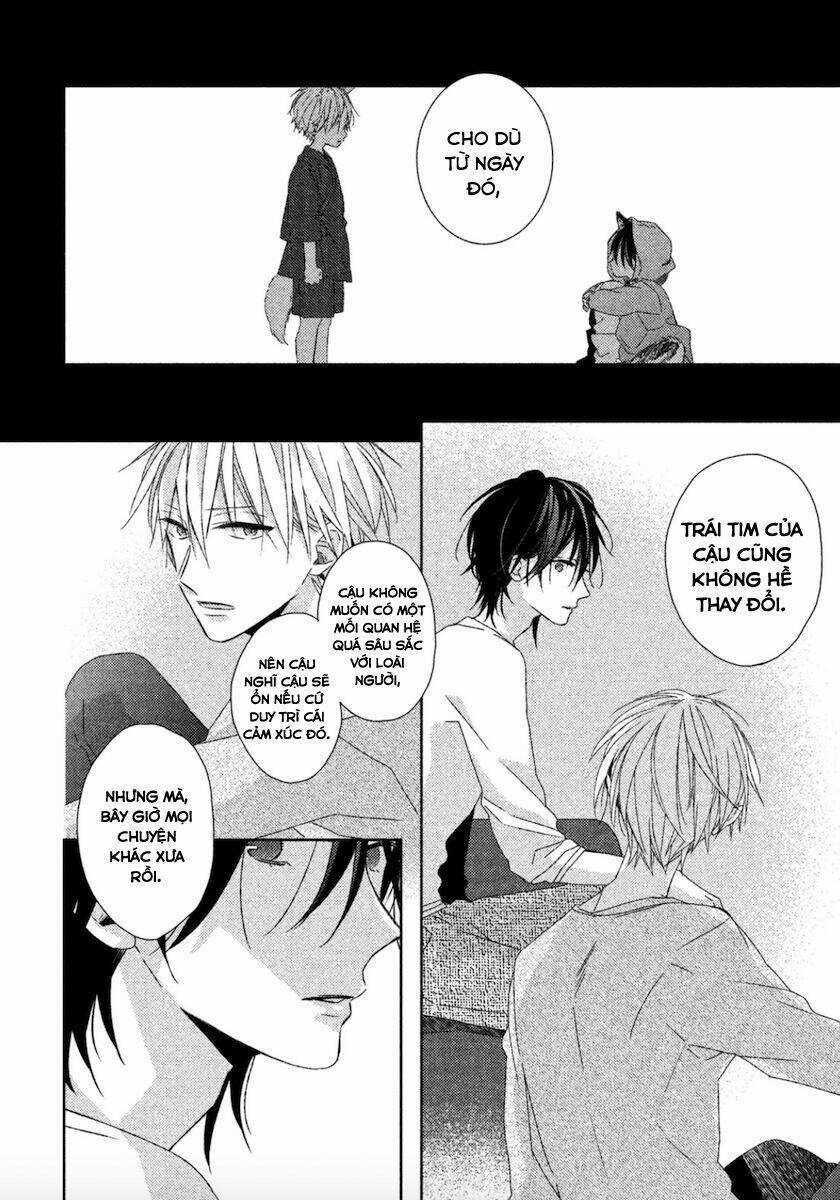 Watashi no Ookami-kun Chapter 12 trang 14
