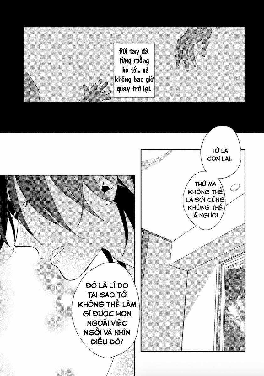 Watashi no Ookami-kun Chapter 12 trang 19
