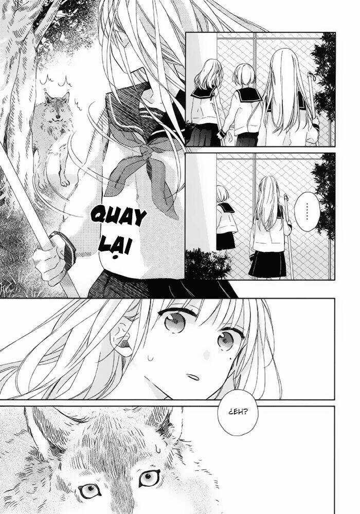 Watashi no Ookami-kun Chapter 15 trang 7