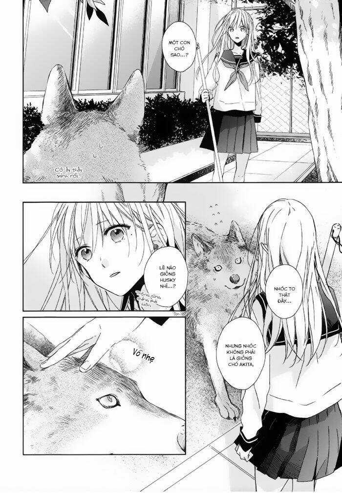 Watashi no Ookami-kun Chapter 15 trang 8