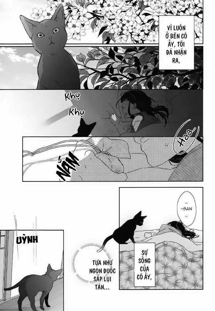 Watashi no Ookami-kun Chapter 18 trang 12