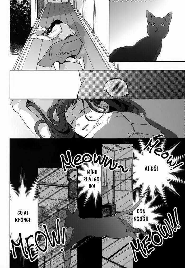 Watashi no Ookami-kun Chapter 18 trang 13