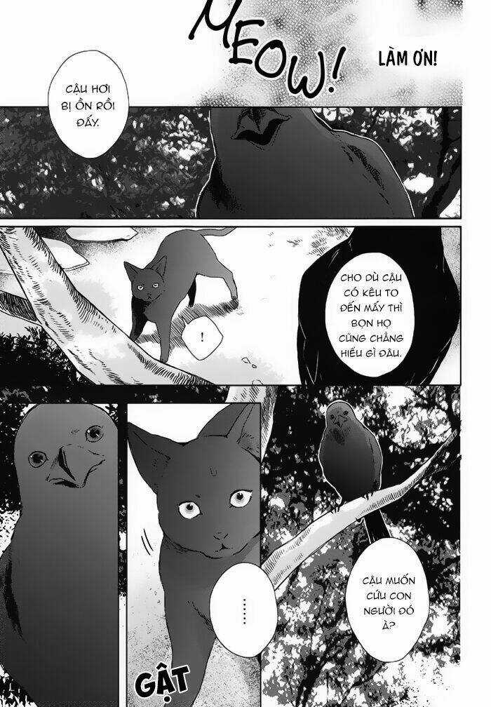 Watashi no Ookami-kun Chapter 18 trang 14