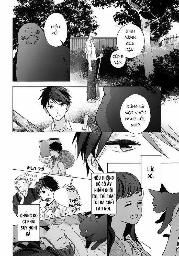 Watashi no Ookami-kun Chapter 18 trang 19
