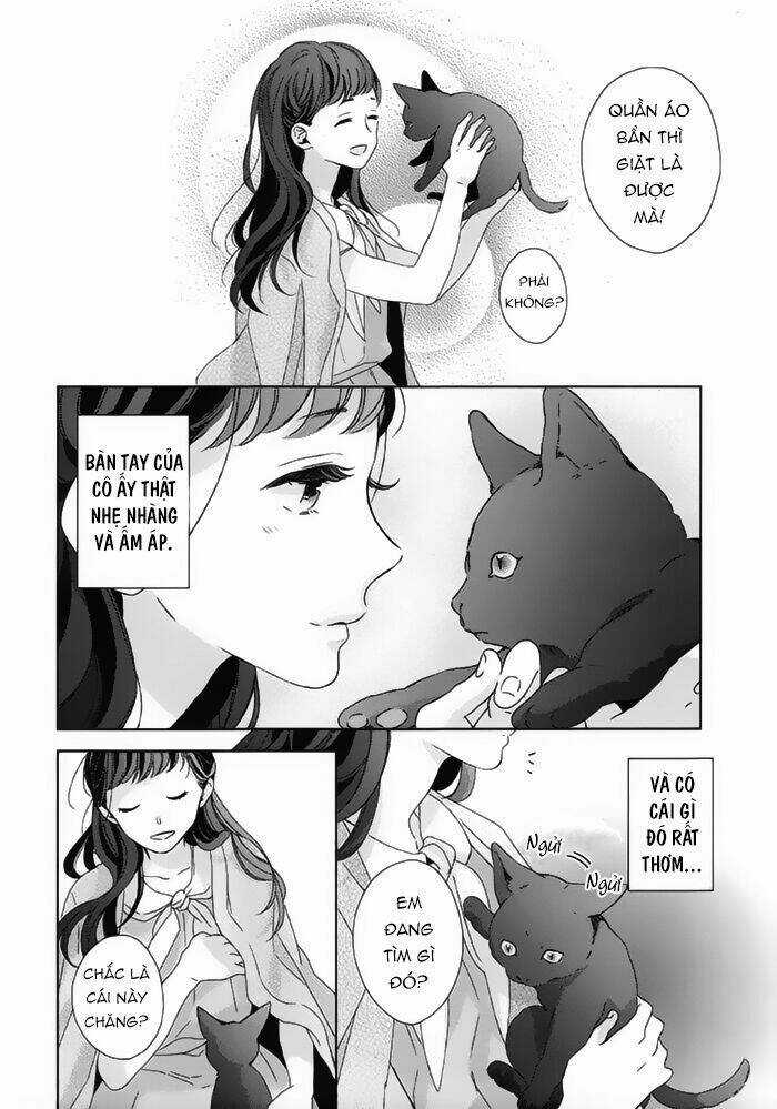 Watashi no Ookami-kun Chapter 18 trang 7