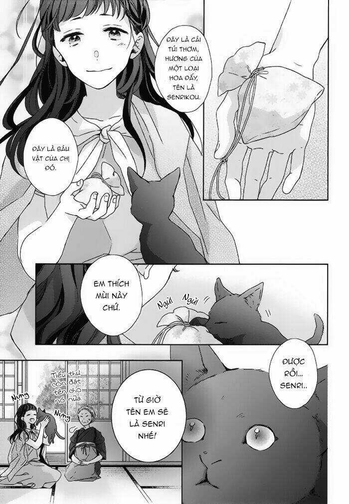 Watashi no Ookami-kun Chapter 18 trang 8