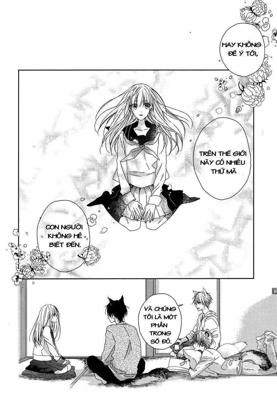 Watashi no Ookami-kun Chapter 2 trang 29