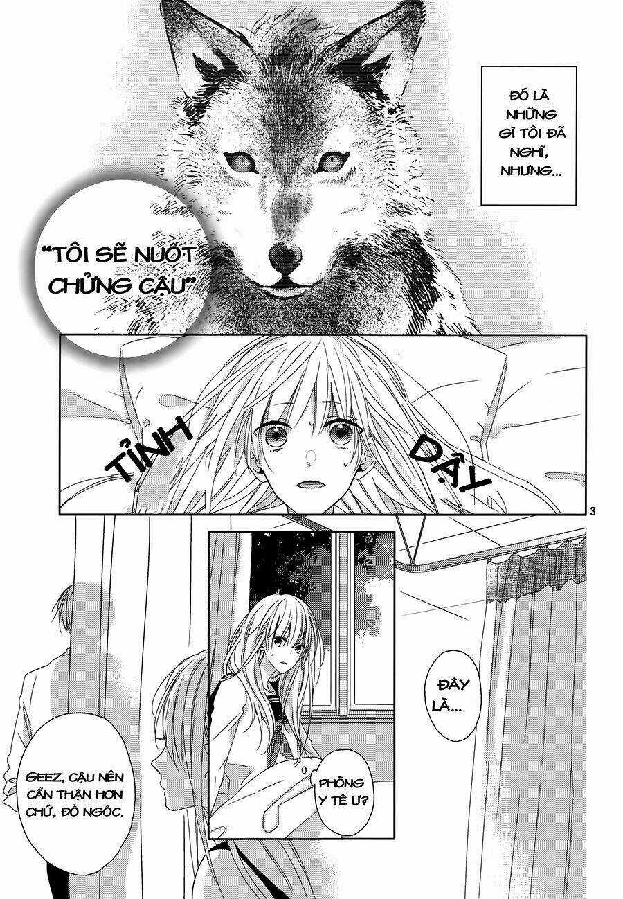 Watashi no Ookami-kun Chapter 2 trang 4