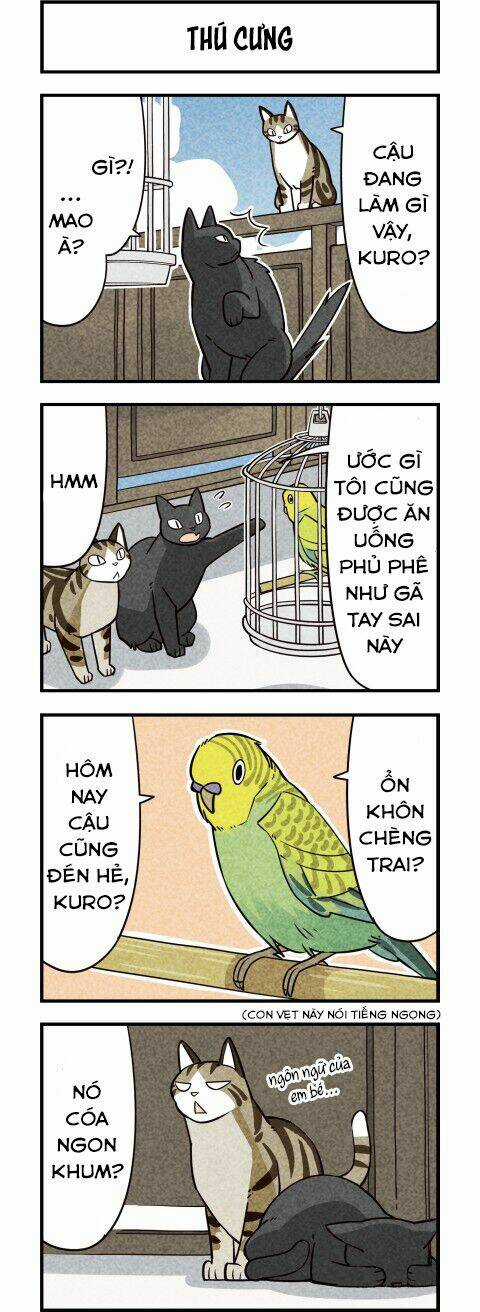 We Are Cat Chapter 10 trang 2