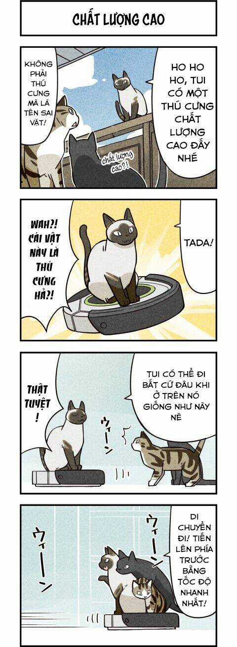 We Are Cat Chapter 10 trang 3