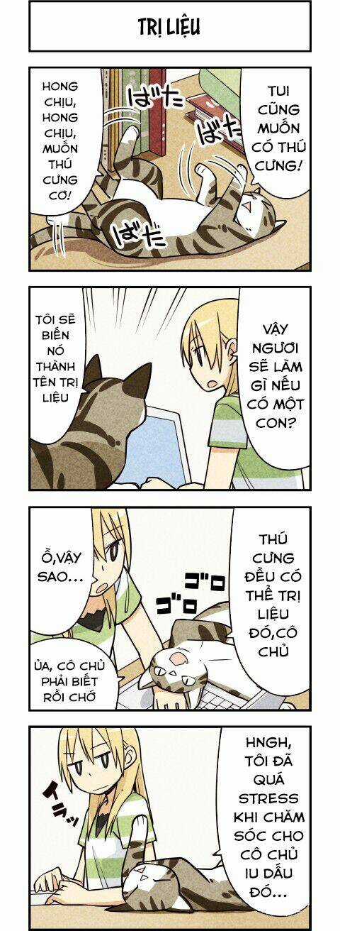 We Are Cat Chapter 11 trang 2