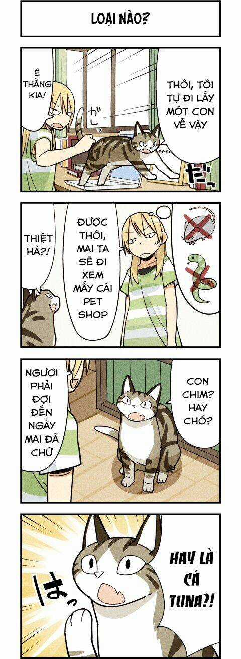 We Are Cat Chapter 11 trang 3