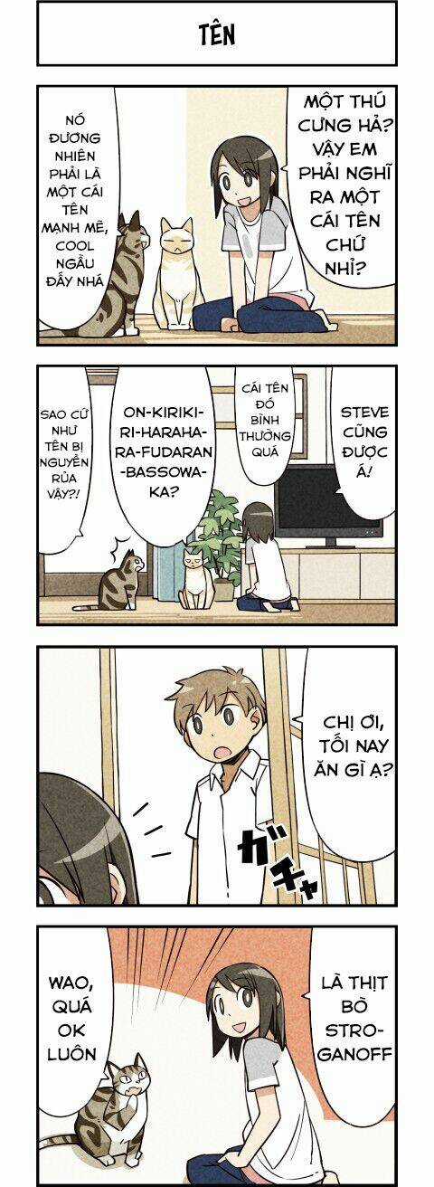 We Are Cat Chapter 11 trang 4