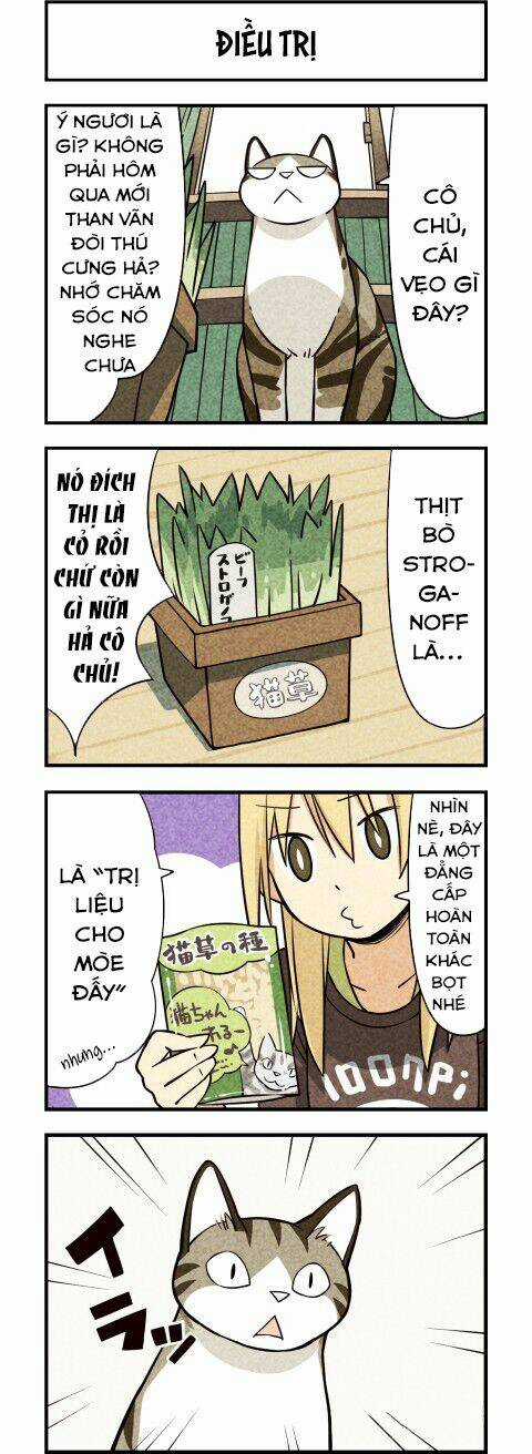 We Are Cat Chapter 11 trang 5