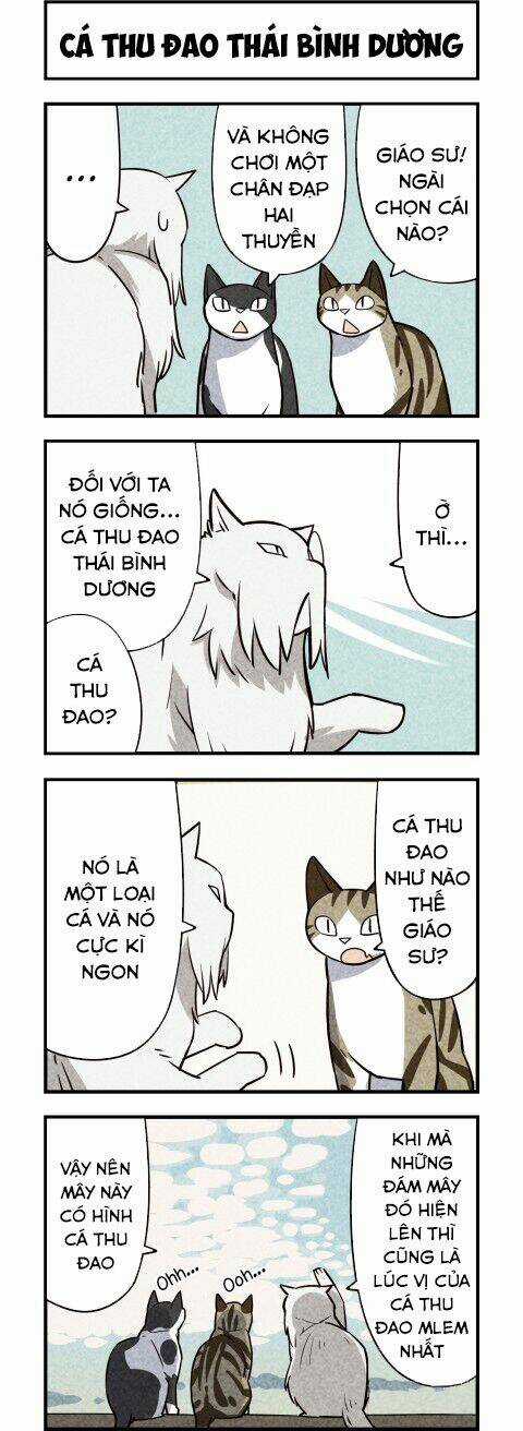 We Are Cat Chapter 12 trang 4