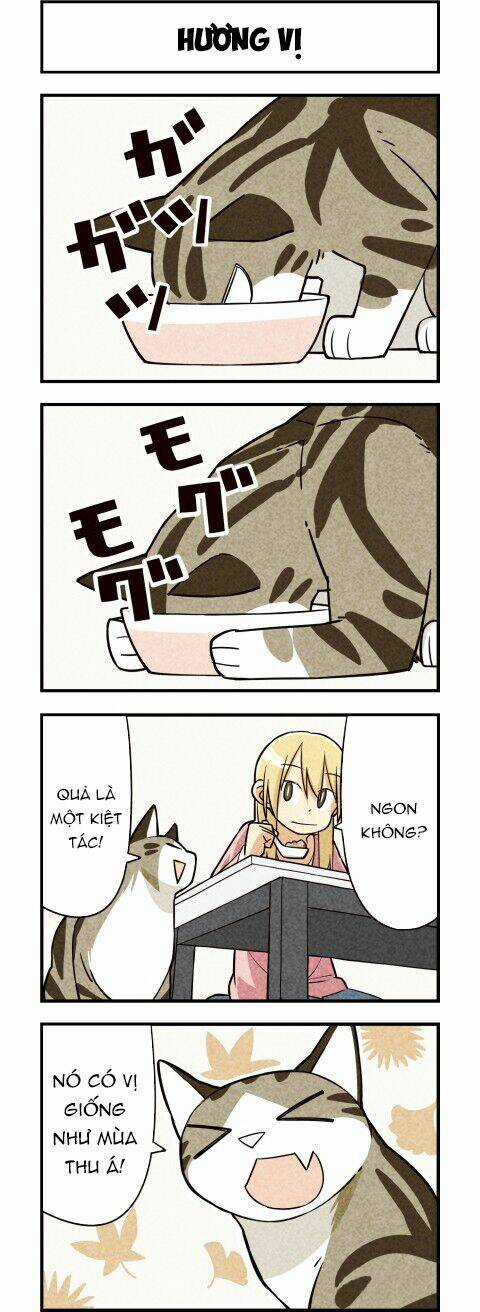 We Are Cat Chapter 12 trang 6